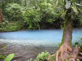 Mix de couleurs à la confluence !