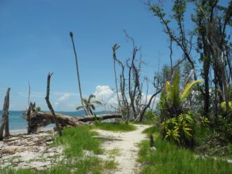 Les plages désertes