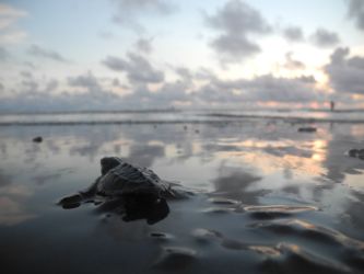 En avant vers l'aventure !