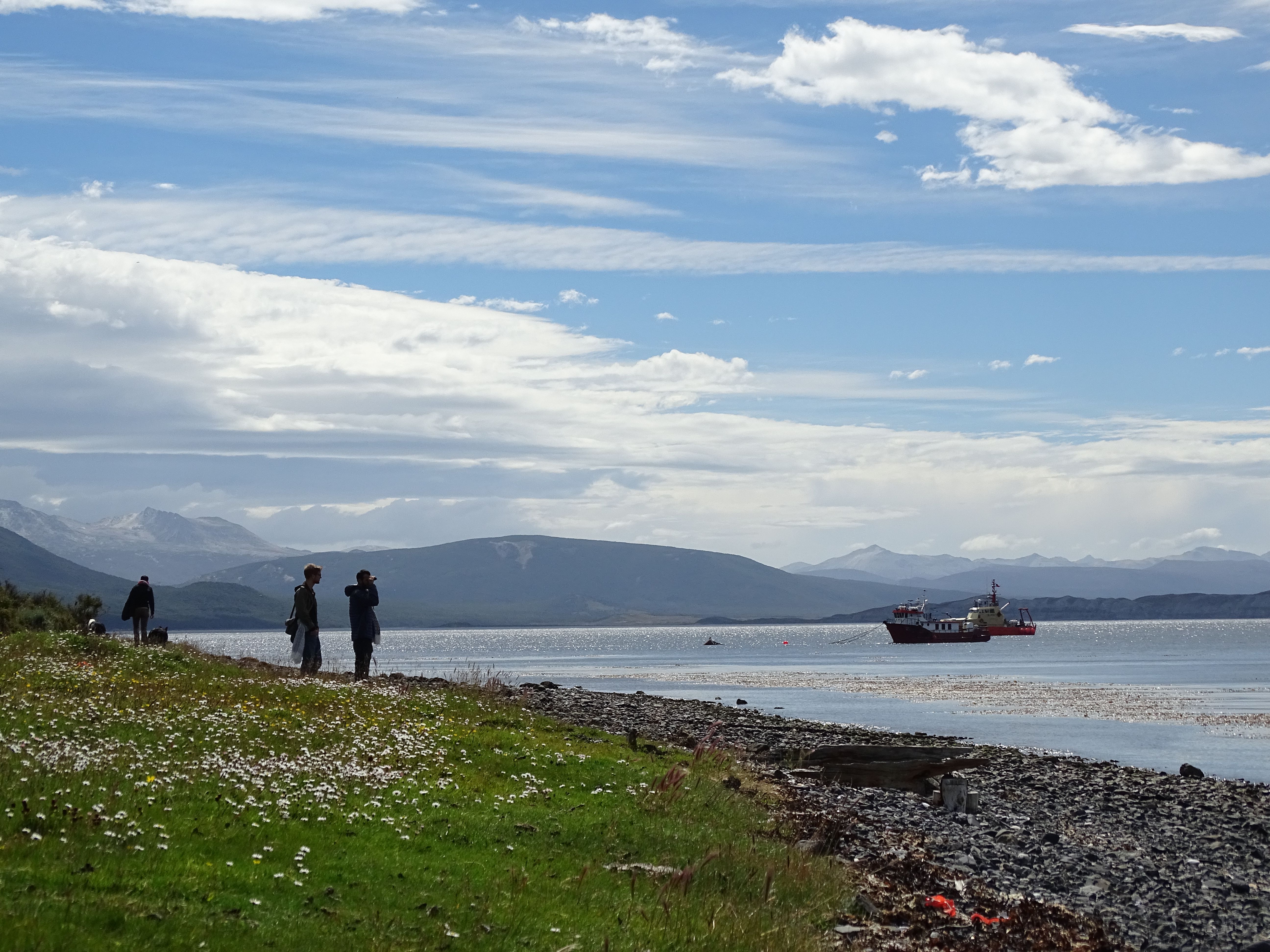 De Punta Arenas à Puerto Williams : le bout du monde !