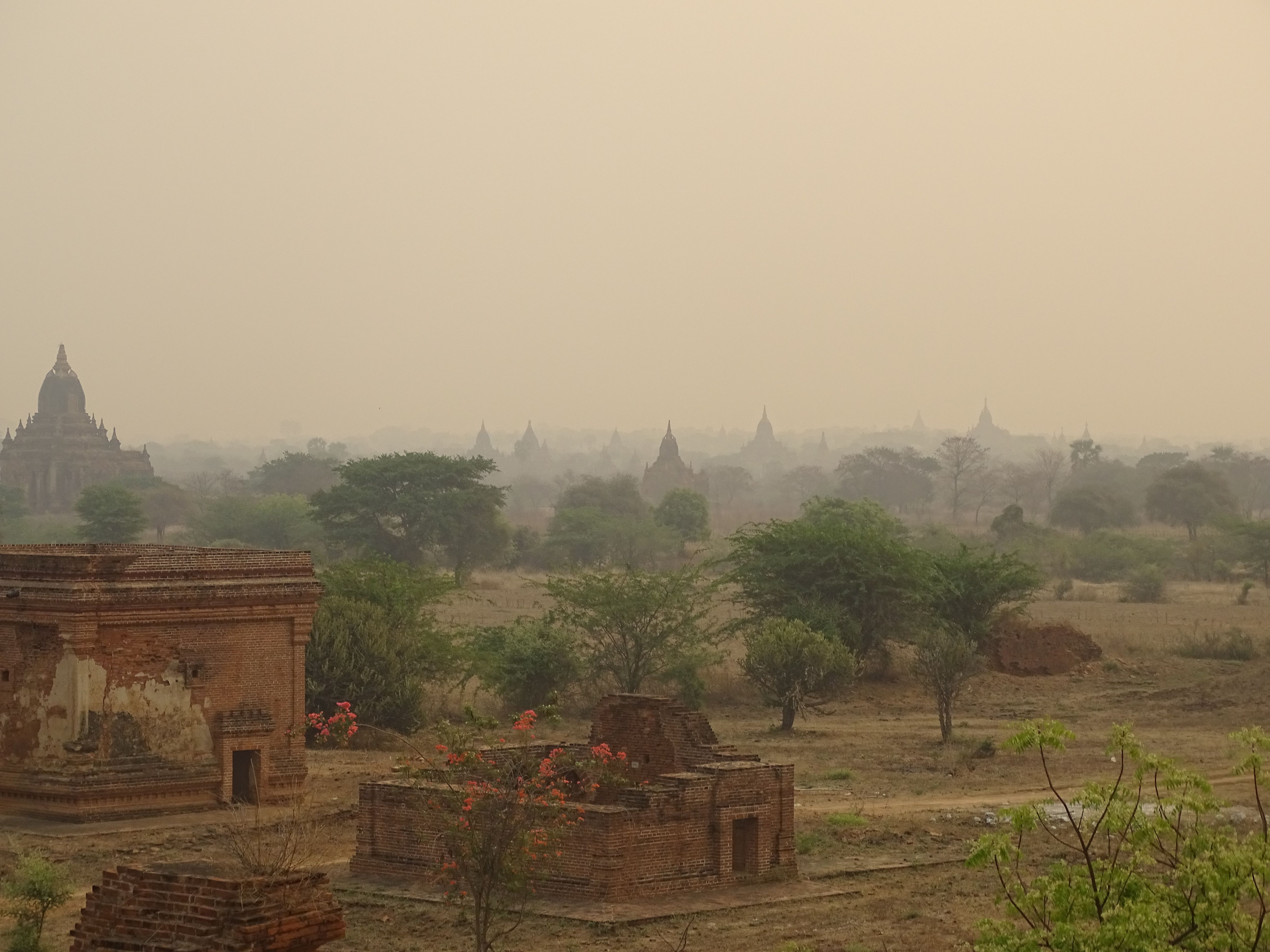 Débuts difficiles au Myanmar : Yangon et Bagan